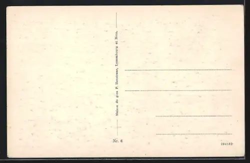 AK Vianden, Vianden à vol d`oiseau