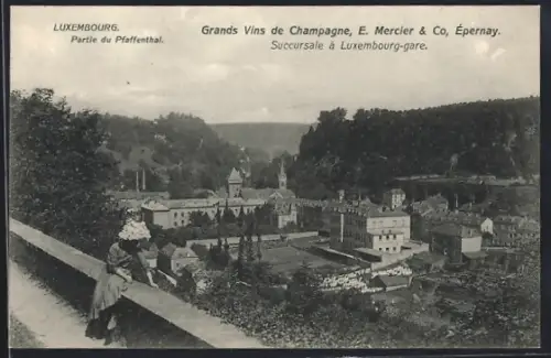 AK Luxembourg, Pfaffenthal, Ortspartie aus der Vogelschau