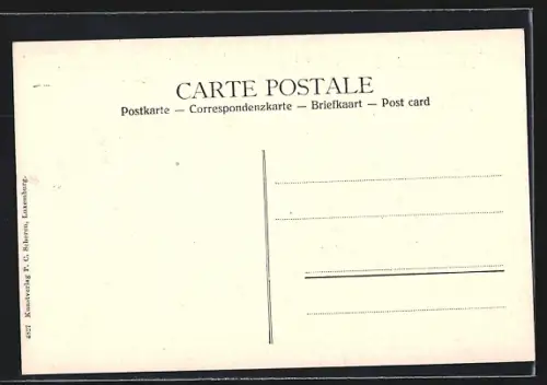 AK Luxembourg, Pfaffenthal, Ortspartie aus der Vogelschau