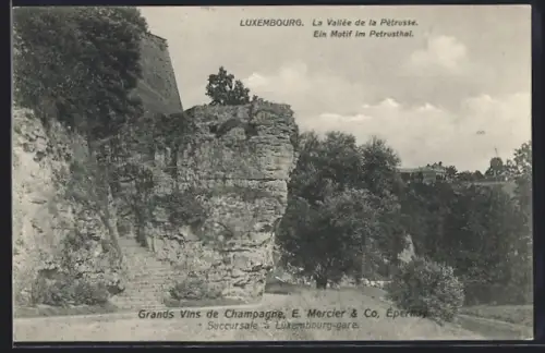 AK Luxembourg, Petrusthal, Felsenplateau mit Treppe