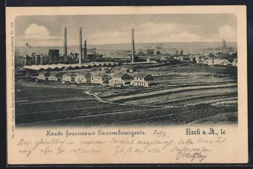 AK Esch s. A., Hauts fourneaux Luxembourgeois