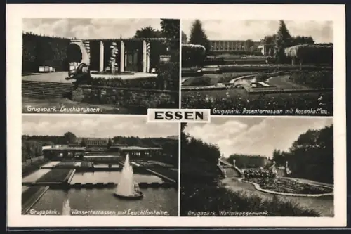 AK Essen, Grugapark, Leuchtbrunnen, Rosenterrassen mit Rosenkaffee, Wasserterrassen mit Leuchtfontäne