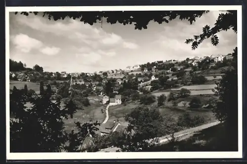 AK Wilhelmsfeld b. Heidelberg, Ortsansicht, Landschaft