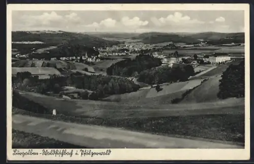 AK Burgalben-Waldfischbach, Ortsansicht, Pfälzerwald