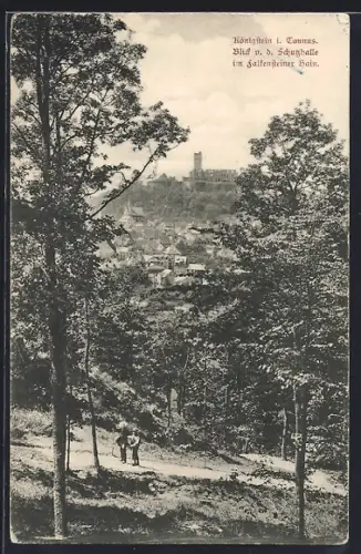 AK Königstein i. Taunus, Blick von der Schutzhütte im Falkensteiner Hain auf Burg und Stadt
