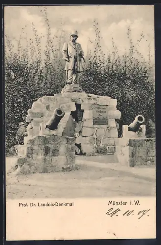 AK Münster i. W., Prof. Dr. Landois-Denkmal, Kanonen, Gedenktafel