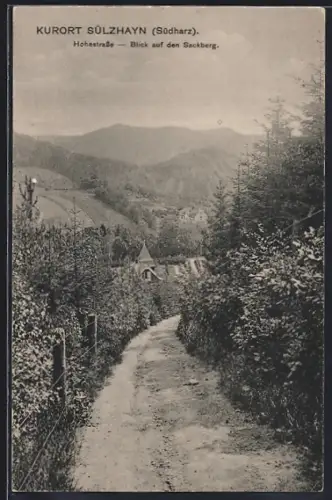 AK Sülzhayn /Südharz, Hohenstrasse, Blick auf den Sackberg