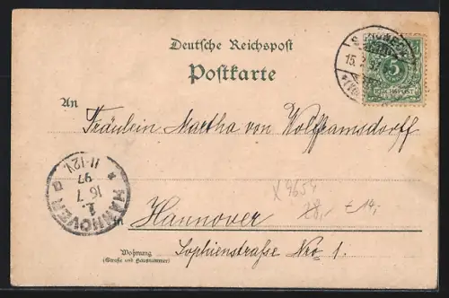 Lithographie Hammerbrücke, Weidlich`s Gasthaus, Schneckenstein, Wasserfall