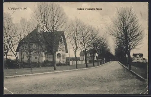 AK Sonderburg, Kaiser Wilhelms-Allee mit Häusern