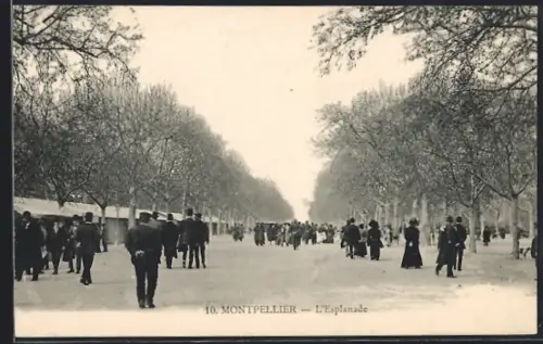 AK Montpellier, L`Esplanade avec des promeneurs sous les arbres en hiver