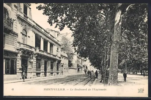 AK Montpellier, Le Boulevard de l`Esplanade