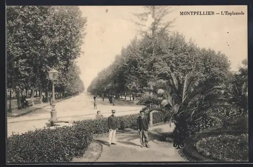 AK Montpellier, L`Esplanade et ses promeneurs élégants sous les arbres majestueux