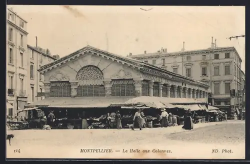 AK Montpellier, La Halle aux Colonnes et marché animé