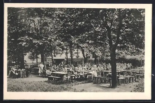 AK Wien, Gastgarten von Fritz Walzhofer`s Restauration zum Gemeindehaus, Hetzendorferstrasse 83