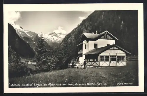AK Mallnitz, Gasthof & Pension Alpenrose am Stappitzersee