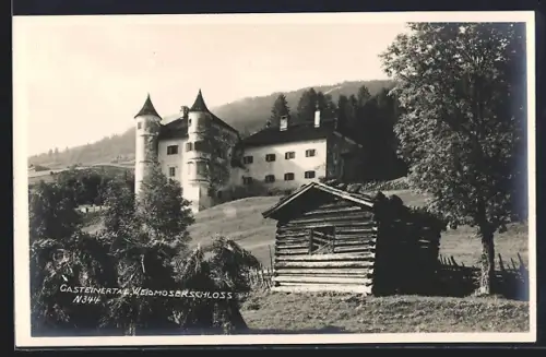 AK Hofgastein, Weidmoserschloss und Heuschober im Gasteinertal