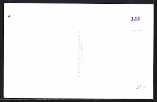 AK Attnang /O.-Ö., Totalansicht gegen Traunstein