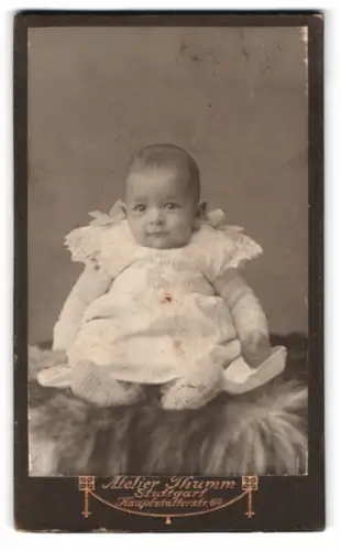 Fotografie Atelier Thumm, Stuttgart, Hauptstätterstrasse 64, Porträt eines Babys