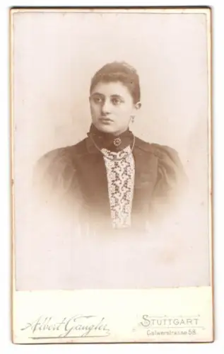 Fotografie Albert Gaugler, Stuttgart, Calwerstrasse 58, Porträt einer Frau mit elegantem Kleid