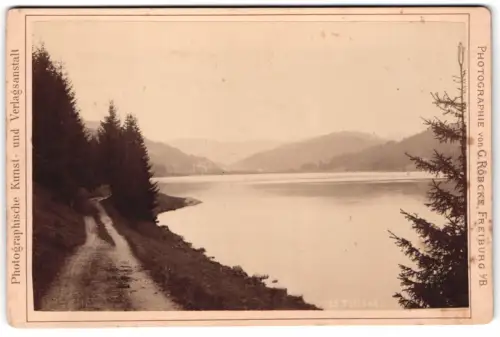 Fotografie G. Röbcke, Freiburg i. B., Ansicht Titisee, Blick über den See