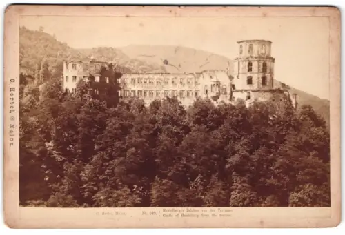 Fotografie C. Hertel, Mainz, Ansicht Heidelberg, Blick von der Terrasse auf das Schloss