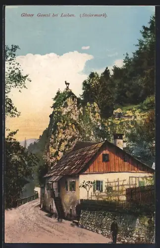 AK Leoben, Strassenpartie Gösser Gamsl