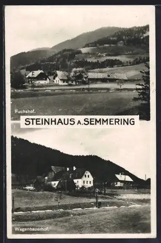 AK Steinhaus a. Semmering, Fuchshof und Wagenbauernhof