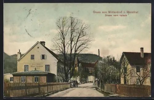 AK Mitterdorf i. Mürzthal, Simon Leitners Gasthaus zur Linde an der Strasse nach Veitsch