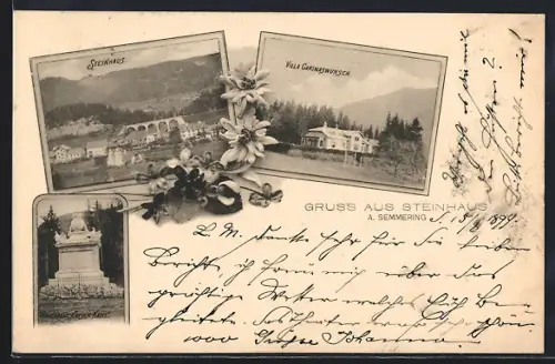 AK Steinhaus am Semmering, Gasthaus Villa Garinaswunsch, Ortsansicht mit Brücke, Monument Kaiser Karl
