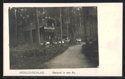 AK Mürzzuschlag, Meierei in der Au