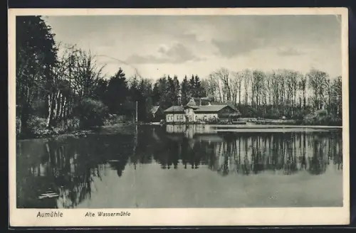 AK Aumühle / Sachsenwald, Alte Wassermühle
