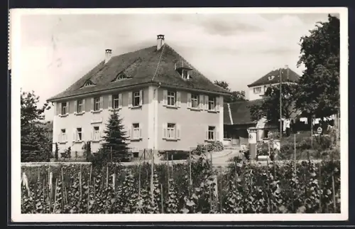 AK Kressbronn /Bodensee, Pension Keppeler, Fremdenzimmer, Seestrasse 42