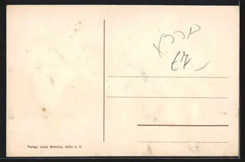 AK Calbe a. S., Totalansicht