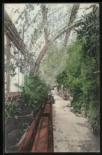 AK Blackpool, Tower Roof Gardens