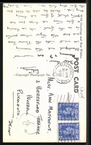 AK Blackpool, The Tower Menagerie, One of the Tigers