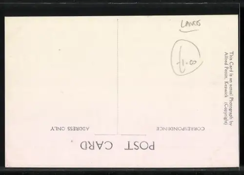 AK Tarn Hawes, Panorama and Wetherlam