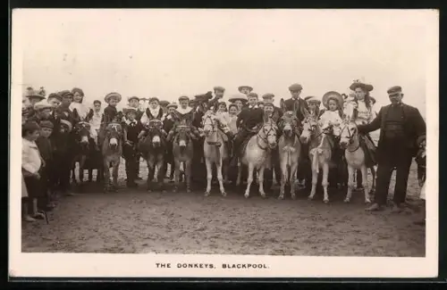 AK Blackpool, The Donkeys
