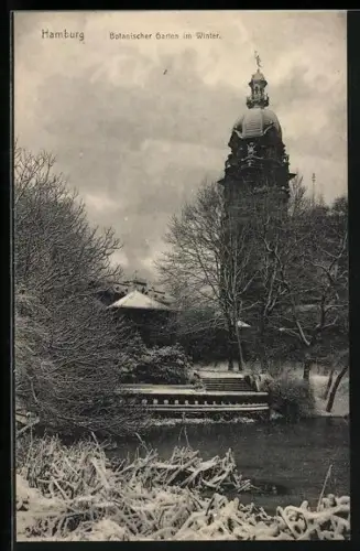 AK Hamburg-St.Pauli, Botanischer Garten im Winter