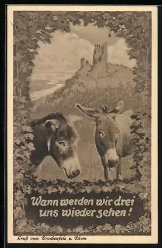 AK Drachenfels a. Rhein, Burgruine, Esel