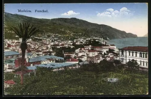 AK Funchal /Madeira, Panorama