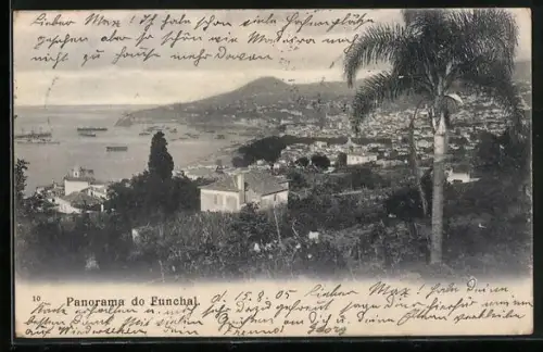 AK Funchal, Panorama