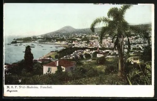 AK Funchal /Madeira, Panorama
