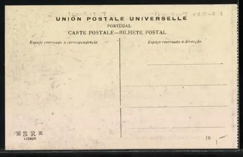 AK Cintra, Vista Geral