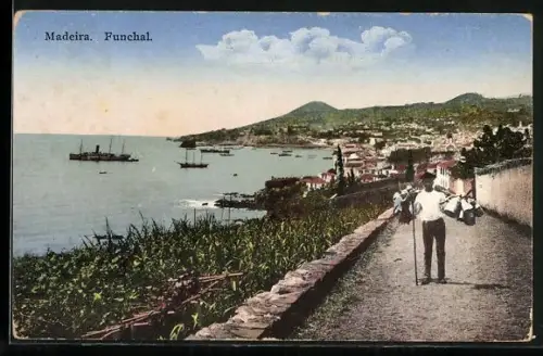 AK Funchal /Madeira, Panorama