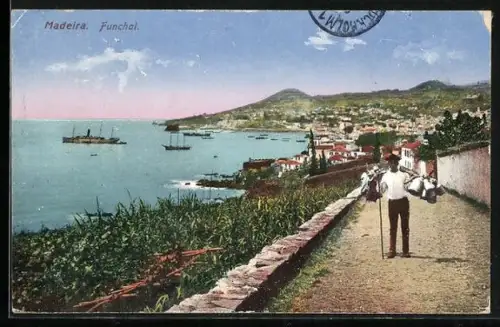 AK Funchal /Madeira, Ortsansicht mit Küstenstrasse