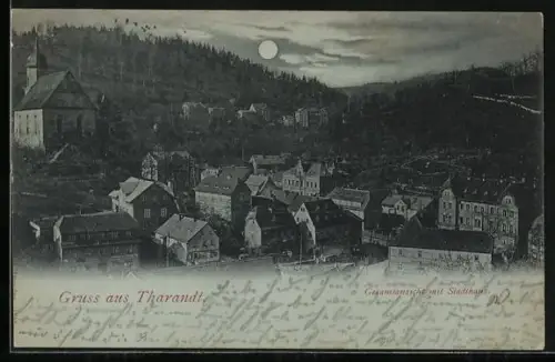 Mondschein-AK Tharandt, Gesamtansicht mit Stadthaus