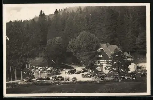 AK Kipsdorf, Gasthaus Putzmühle, Pöbeltal, Waldlandschaft, Autos