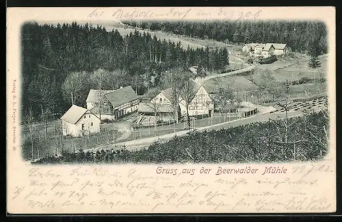 AK Pretzschendorf, Beerwalder Mühle, Mühlengebäude, Waldumgebung