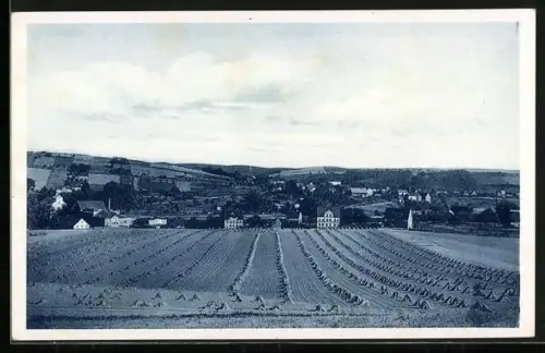 AK Töpeln, Dorfansicht, Felder, Kirche