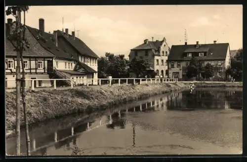 AK Langenleuba-Niederhain, Teich und Wohnhäuser am Ufer